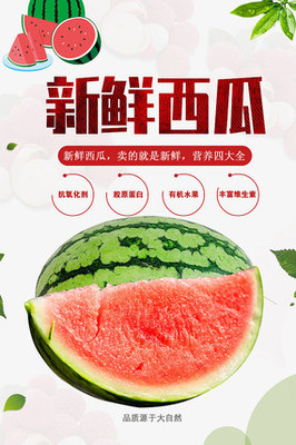 西瓜廣告海報
